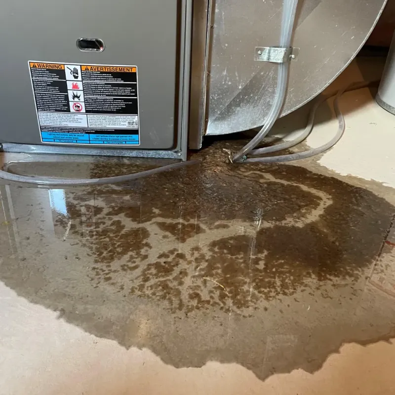 Appliance Leak Cleanup in Conway Springs, KS